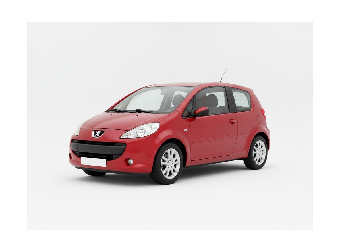 Peugeot 1007